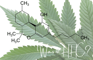 Alles Wissenswerte über HHC (Hexahydrocannabinol) - CBD-Express24.com