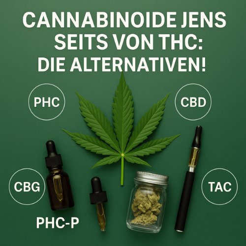 Cannabinoide jenseits von THC: Die Alternativen!