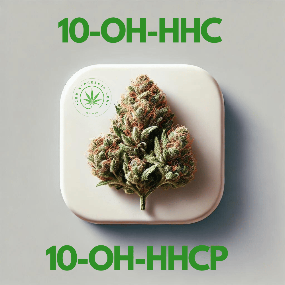 Die geheimen Stars: 10-OH-HHC und 10-OH-HHCP