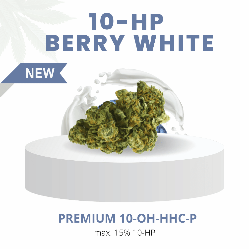 Premium Berry White Blüten mit 15 % 10-OH-HHC und kosmischem Design im Hintergrund. Fruchtiges Aroma, dominiert von Blaubeer- und Kiefernoten.