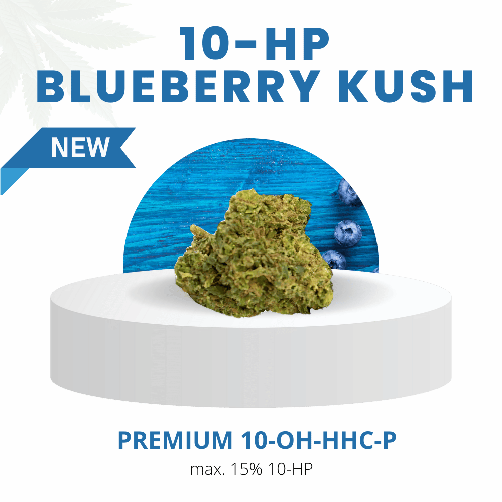 Premium Blueberry Kush Blüten mit 15 % 10-OH-HHC-P, präsentiert auf einem weißen Podest vor blauem Hintergrund. Intensives Fruchtaroma mit kräftigen Blaubeernoten.