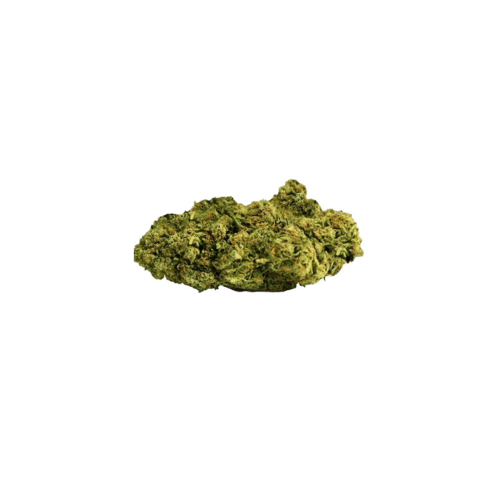 Detailansicht von Mango Kush Blüten, kompakt und aromatisch. Tropisches Aroma mit Noten von Mango, Banane und Zitrus für ein exotisches Raucherlebnis.