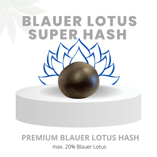 SUPER HASH 20% | Premium Blauer Lotus