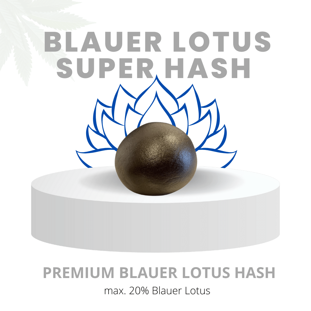 SUPER HASH 20% | Premium Blauer Lotus