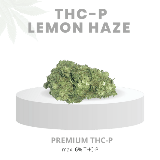 THC-P LEMON HAZE HYPER STARK 6% | Premium WEED