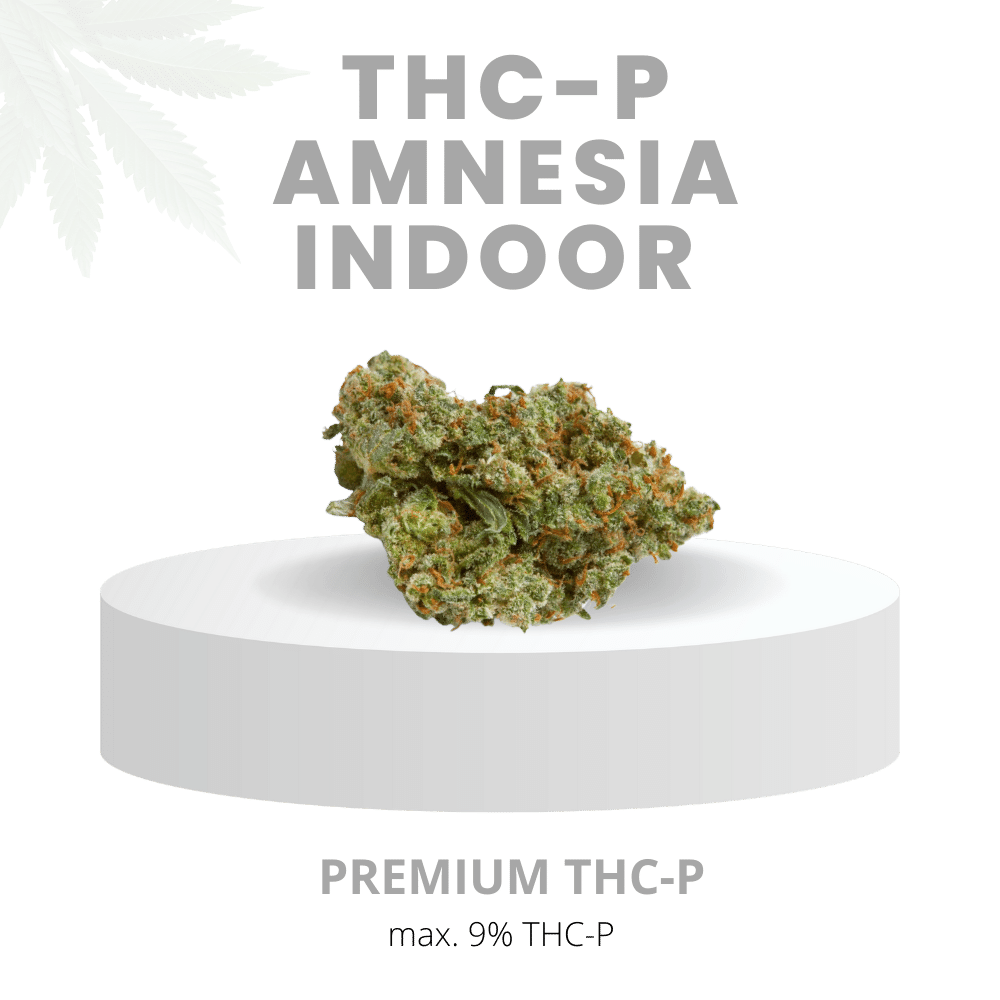 THC-P AMNESIA INDOOR MEGA STARK 9% | Premium WEED