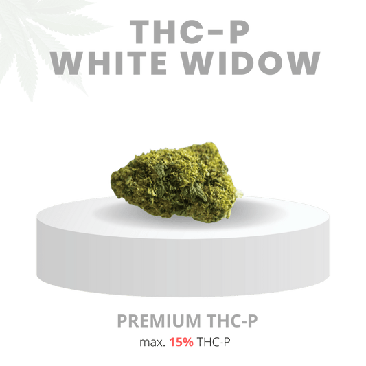 THC-P WHITE WIDOW ÜBERWÄLTIGEND 15% | Premium WEED