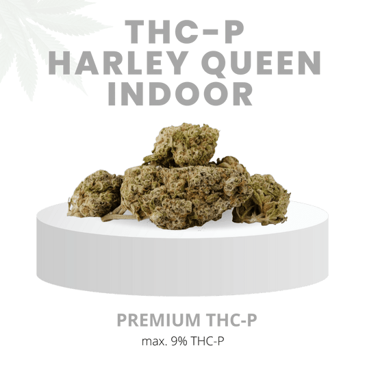 THC-P HARLEY QUEEN INDOOR MEGA STARK 9% | Premium WEED