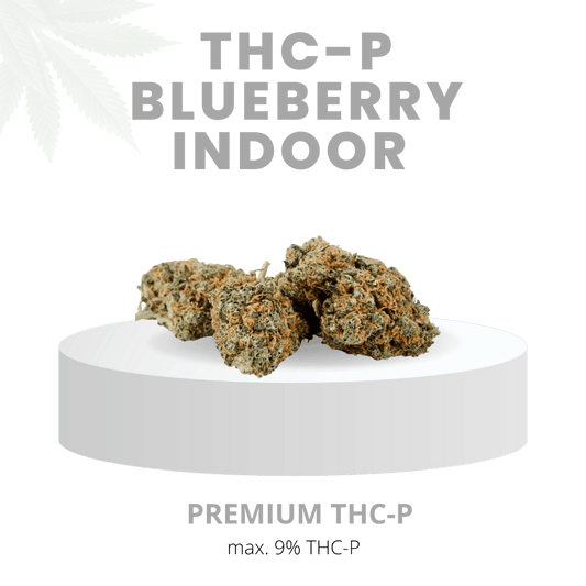 THC-P BLUEBERRY INDOOR MEGA STARK 9% | Premium WEED