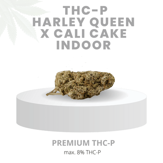 THC-P HARLEY QUEEN X CALI CAKE INDOOR HYPER STARK 8% | Premium WEED