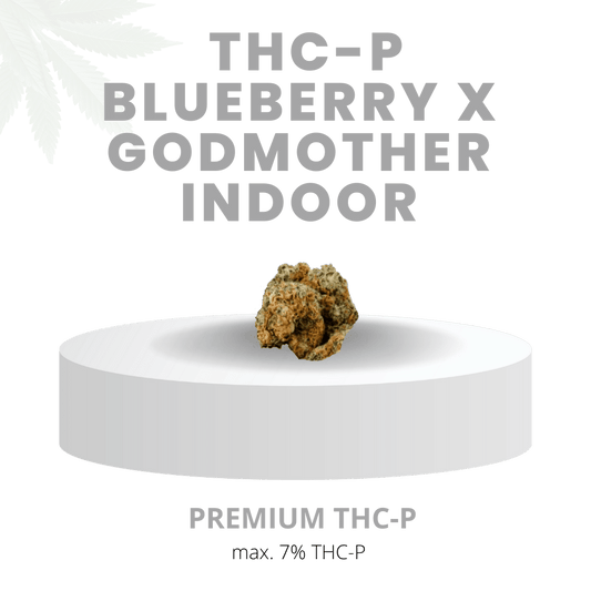 THC-P BLUEBERRY X GOD MOTHER INDOOR HYPER STARK 7% | Premium WEED