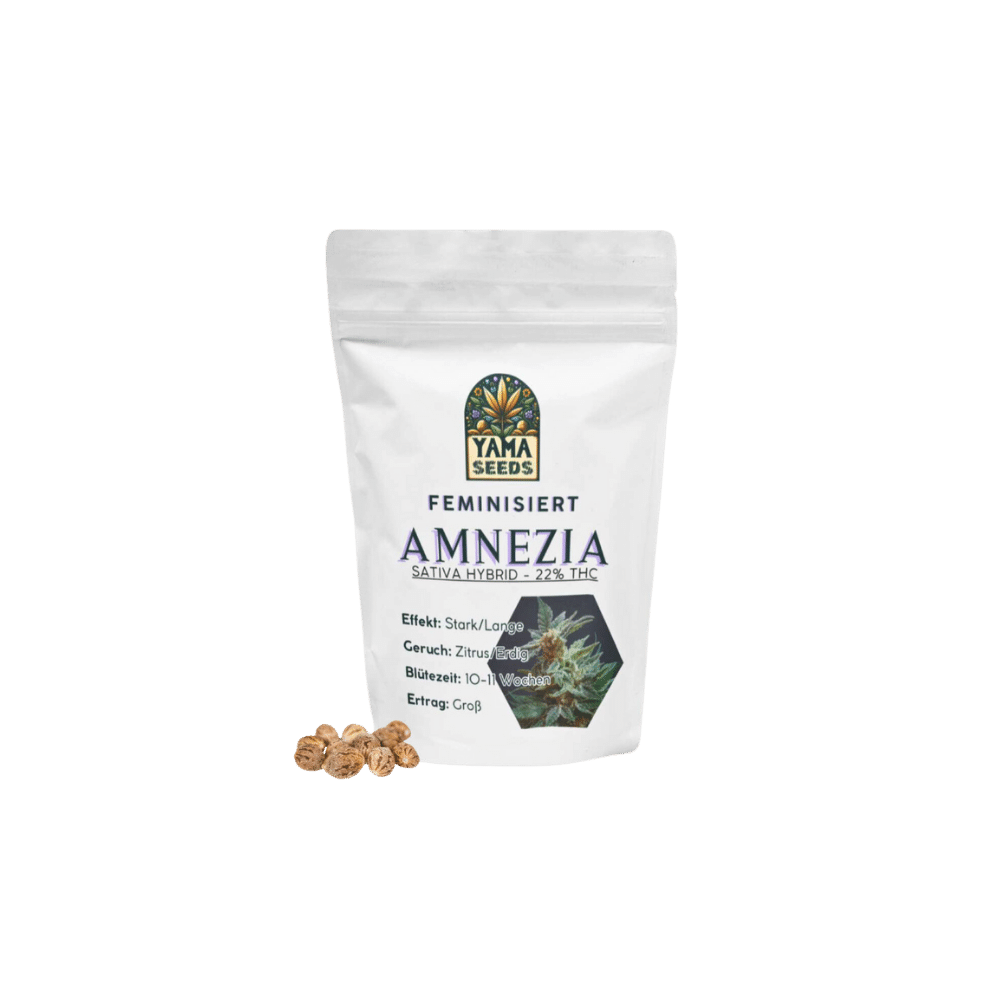 Verpackung der feminisierten Amnesia-Samen von YAMA SEEDS mit Produktabbildung. Geeignet für XXL-Ernten, mit einer Blütezeit von ca. 10 Wochen und einem THC-Gehalt von bis zu 25 %.