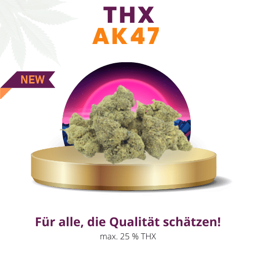 AK47 25% Intensiv | Premium THX