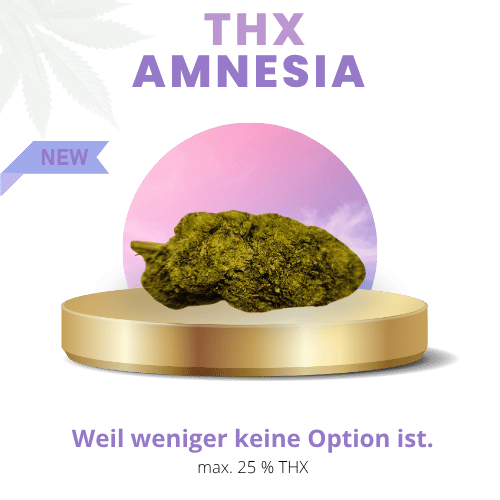 Amnesia 25% Intensiv | Premium THX