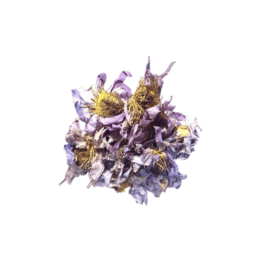 Blauer Lotus Tee – Hochwertige Blüten des blauen Lotus (Nymphaea caerulea), bekannt für ihre beruhigenden Eigenschaften, ideal für Entspannung, Schlafverbesserung und antioxidative Wirkung.