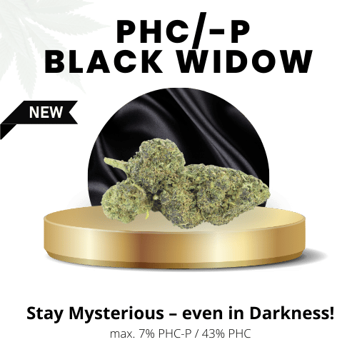 Black Widow 50% | Premium PHC/-P WEED
