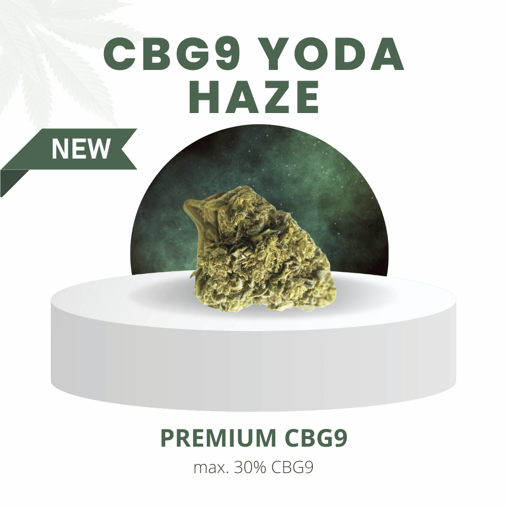CBG9 Yoda Haze mit 30 % CBG9-Gehalt, präsentiert auf einem weißen Podest vor einem grünen Hintergrund. Tropisches Aroma mit süßen Fruchtnoten und erdigen Würznuancen.