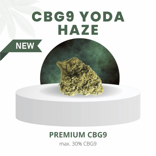CBG9 Yoda Haze mit 30 % CBG9-Gehalt, präsentiert auf einem weißen Podest vor einem grünen Hintergrund. Tropisches Aroma mit süßen Fruchtnoten und erdigen Würznuancen.
