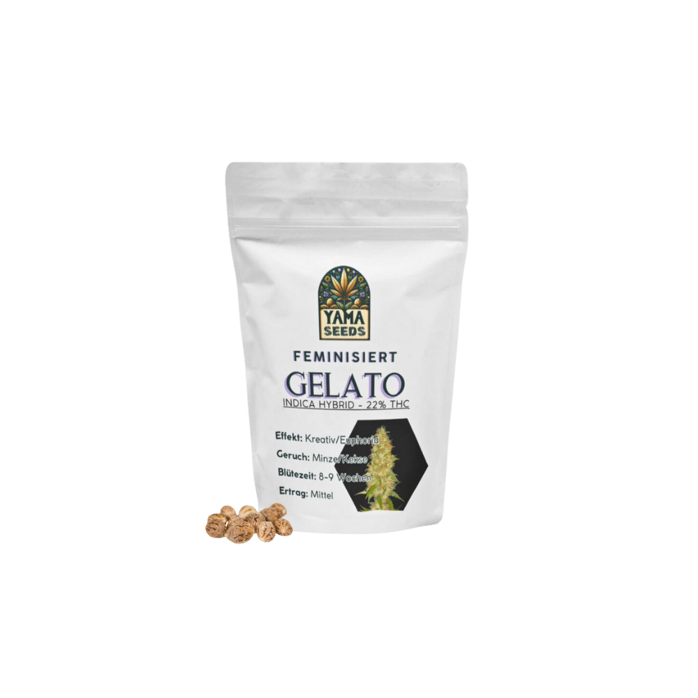 Verpackung der Gelato Samen von YAMA SEEDS. Enthält Informationen zur feminisierten Indica-Hybrid-Sorte mit einem THC-Gehalt von 22 % und mittelgroßen Erträgen.