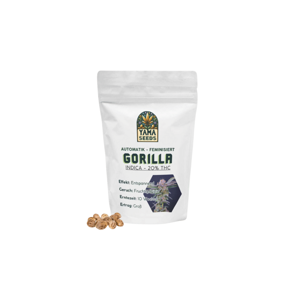 Verpackung der Gorilla Auto Samen mit Informationen zu THC-Gehalt, feminisierter Autoflowering-Genetik und Ertrag. Perfekt für Indoor- und Outdoor-Anbau.