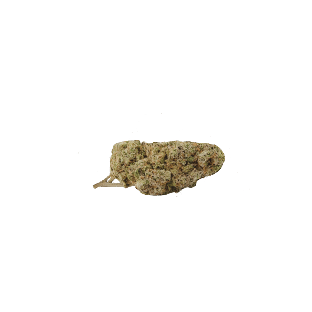 Detailansicht der Critical Kush x Alien OG CBD-Blüten, kompakt und grünlich. Hochwertige Infused CBD-Blüten mit innovativer PHYTOREMEDY™-Formulierung.