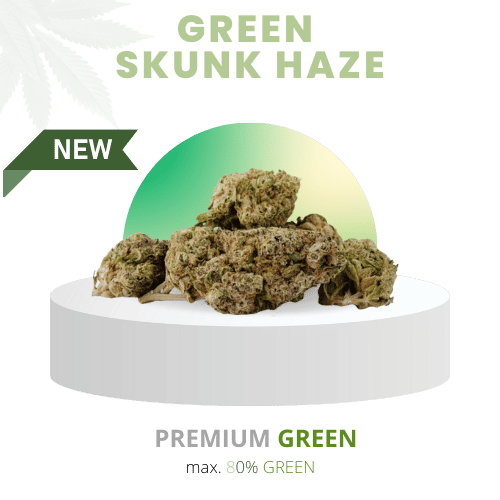 PHYTOREMEDY™ CBD-Blüteninfusion – Green Skunk Haze mit bis zu 80% CBD-Gehalt, höchste Qualität und reines Aroma, ideal für natürliche Entspannung.