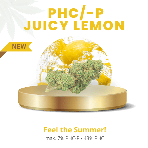 Juicy Lemon 50% | Premium PHC/-P WEED