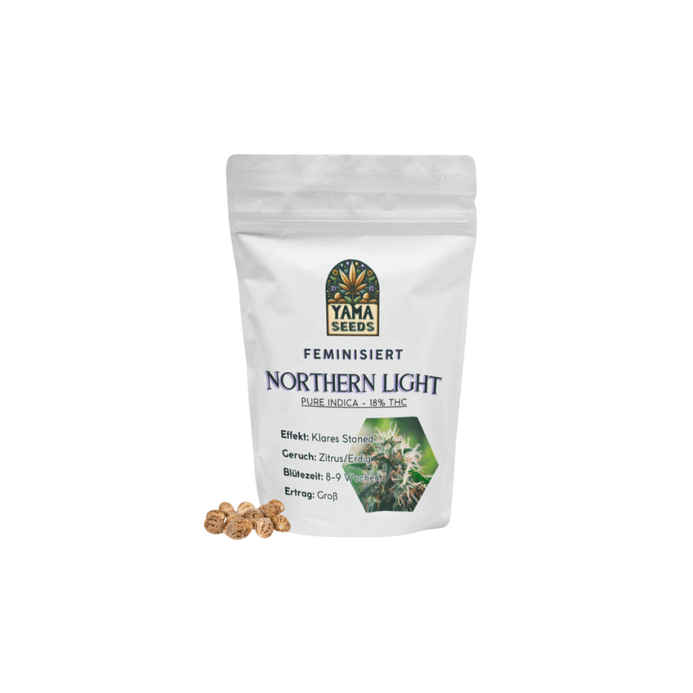 Verpackung der Northern Light feminisierten Cannabis-Samen von YAMA SEEDS, hochwertig und ideal für den Indoor-Grow.