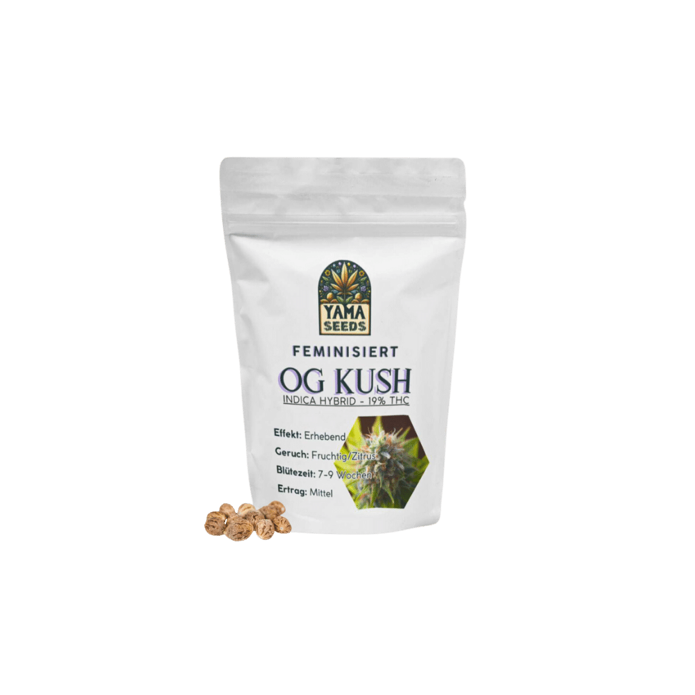 Verpackung von OG Kush feminisierten Samen von YAMA SEEDS, mit stilvollem Design.