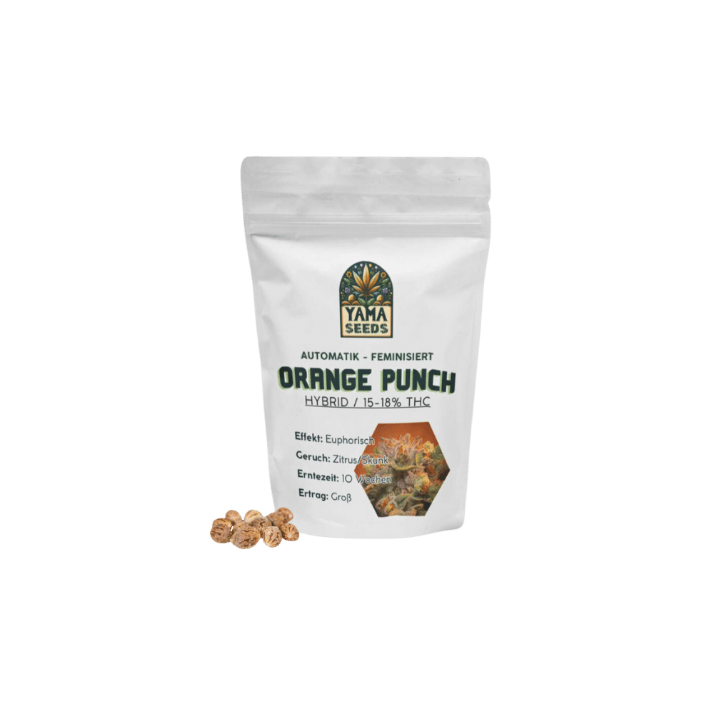 Verpackung von Orange Punch feminisierten Samen, ideal für Anfänger und erfahrene Züchter.