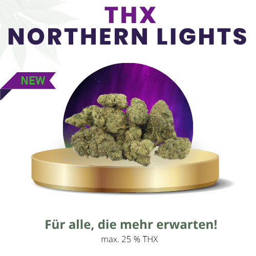 Northern Lights 25% Intensiv | Premium THX