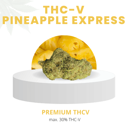 Pineapple Express THC-V Hybrid (Sativa-dominant) – Tropisch-fruchtiges Aroma mit süßen Ananasnoten, 30% THC-V-Gehalt, Premium-Qualität.