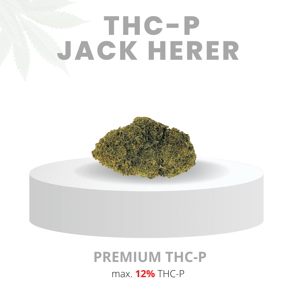 THC-P JACK HERER POWERVOLL 12% | Premium WEED