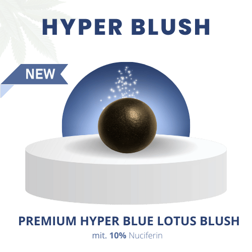 Premium Hyper Blush Blue Lotus Hash mit 10% Nuciferin auf einem Podest präsentiert, mit funkelnden Effekten im Hintergrund.
