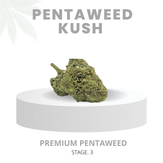 KUSH | Premium Pentaweed