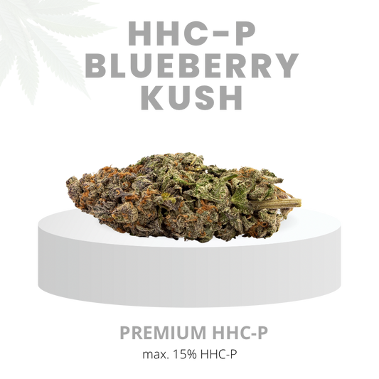HHC-P BLUEBERRY KUSH MAXIMUM 15% | Premium HHC WEED