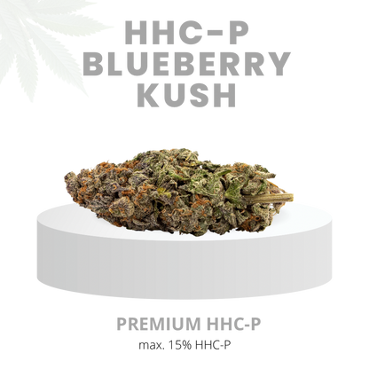 HHC-P BLUEBERRY KUSH EXTREM 15% | Premium HHC WEED