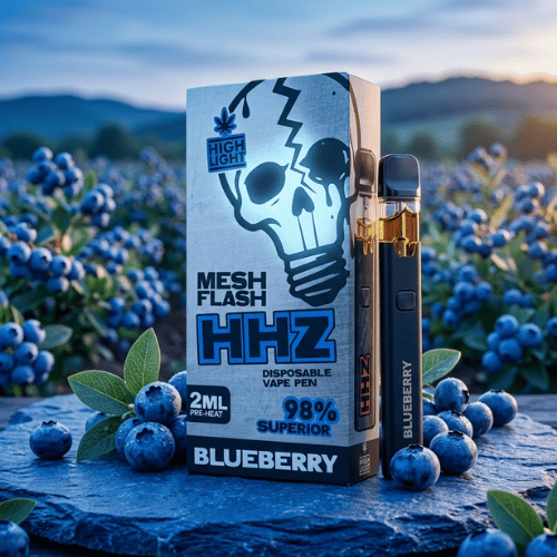 Professionelles Produktbild der HHZ Blueberry Vape 2ml, dekoriert mit frischen Blaubeeren auf einem Schieferstein.