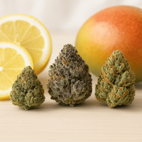 CBD-Blüten kaufen: Wirkung, Vorteile & Premium-Auswahl für 2025