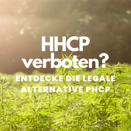 Ist HHCP verboten? Entdecke die legale Alternative PHCP