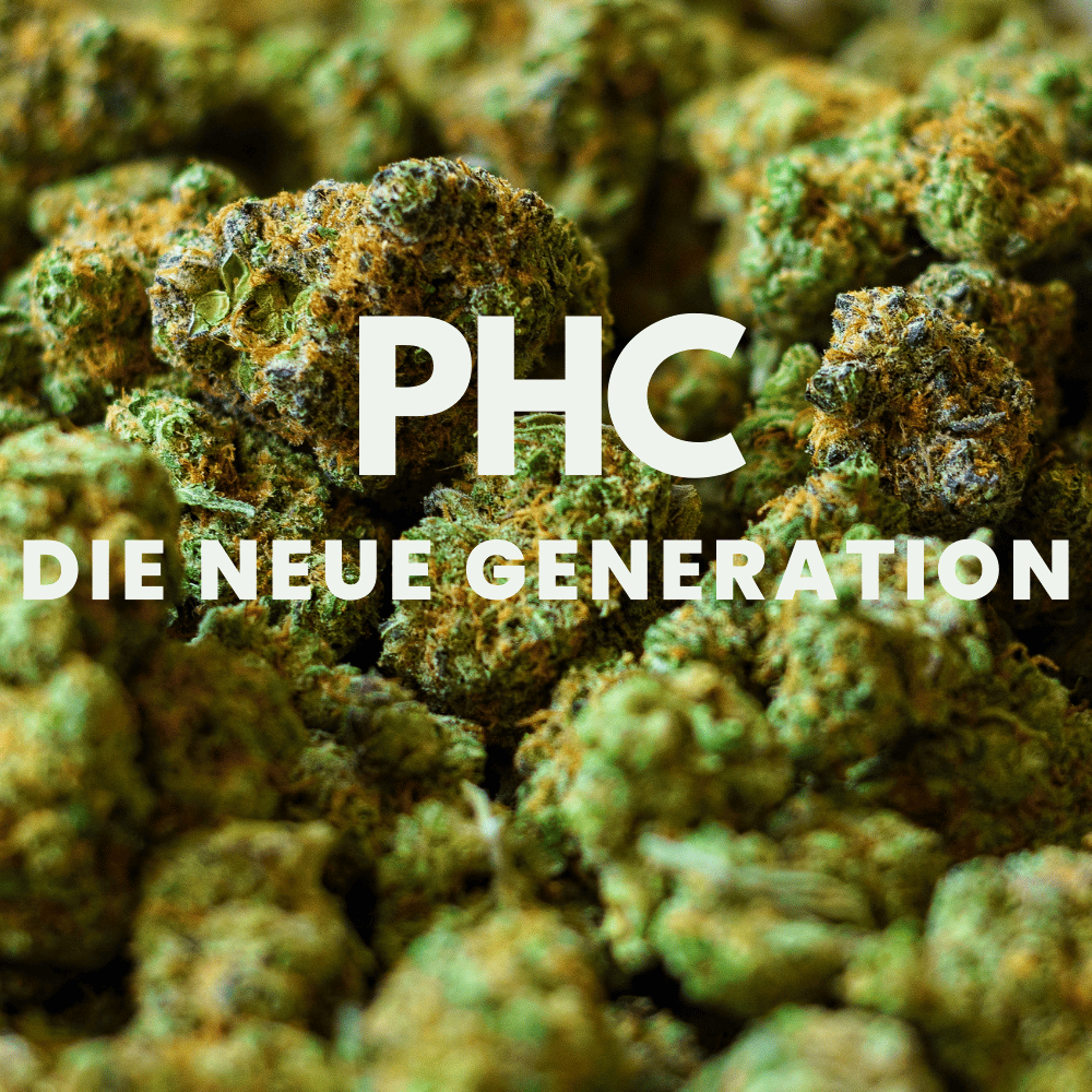 PHC – Die neue Generation der Cannabinoide