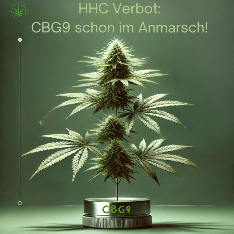 CBG9: Ihre Alternative nach dem HHC-Verbot 2024