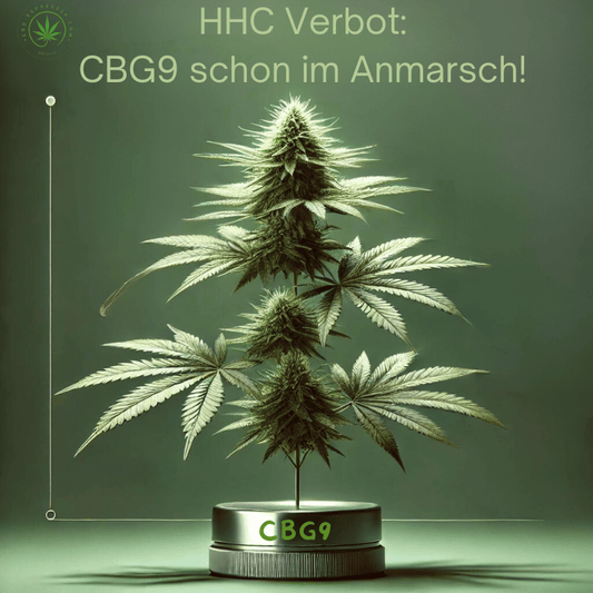 CBG9: Ihre Alternative nach dem HHC-Verbot 2024