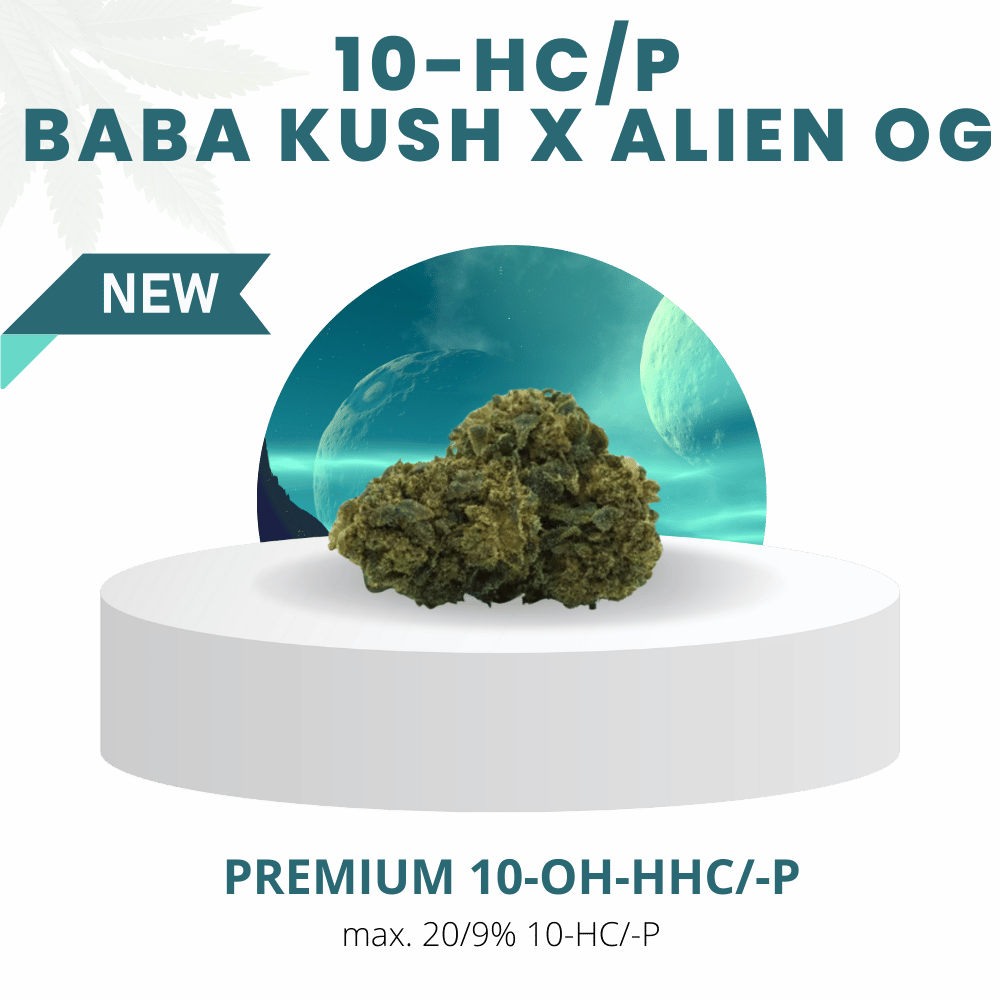 BABA KUSH x ALIEN OG 9/20% | Premium 10-HC-P WEED