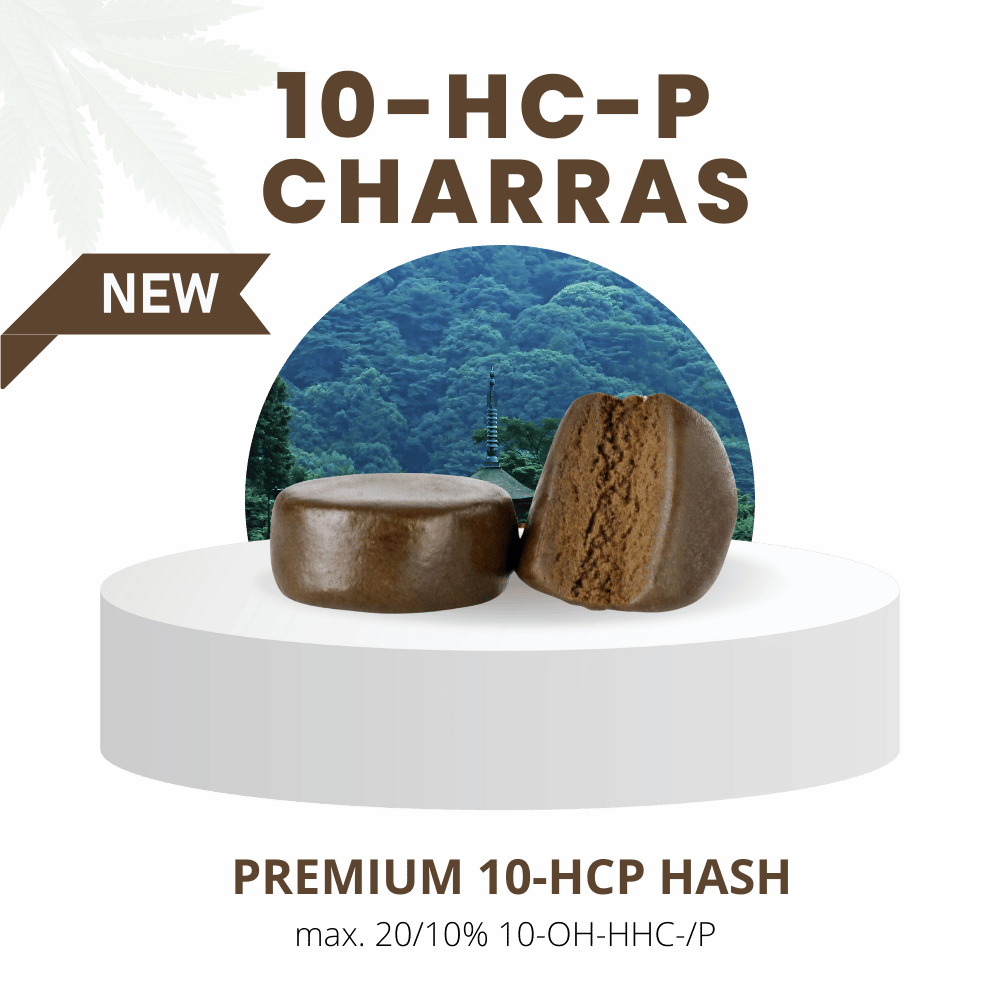 CHARAS 10/20% | Premium 10-HC-P HASH