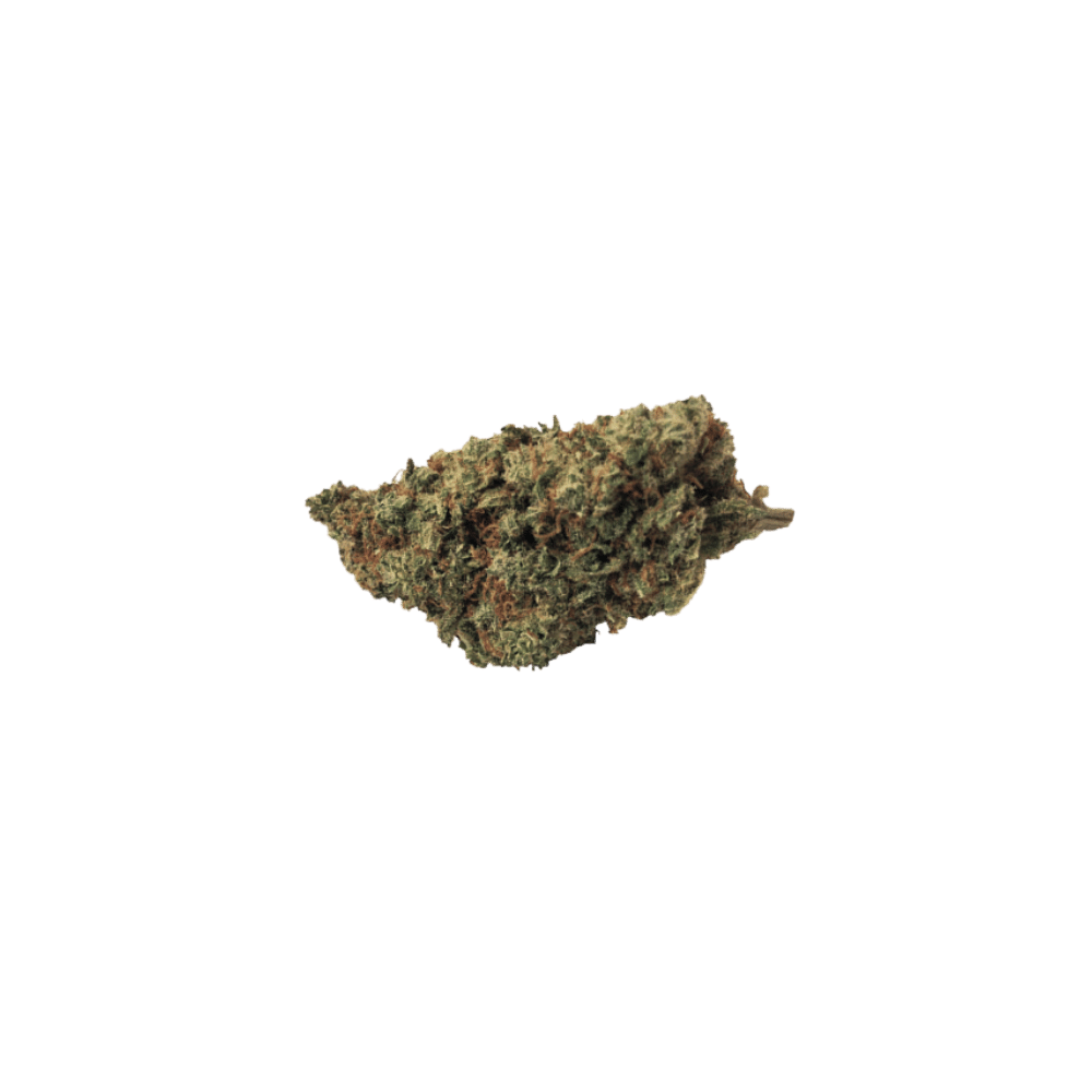 NORTHERN LIGHTS 8% | Premium 10-HP WEED