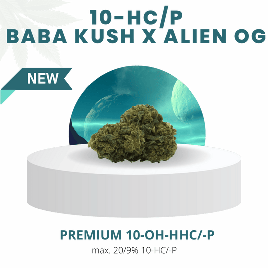 BABA KUSH x ALIEN OG 9/20% | Premium 10-HC-P WEED