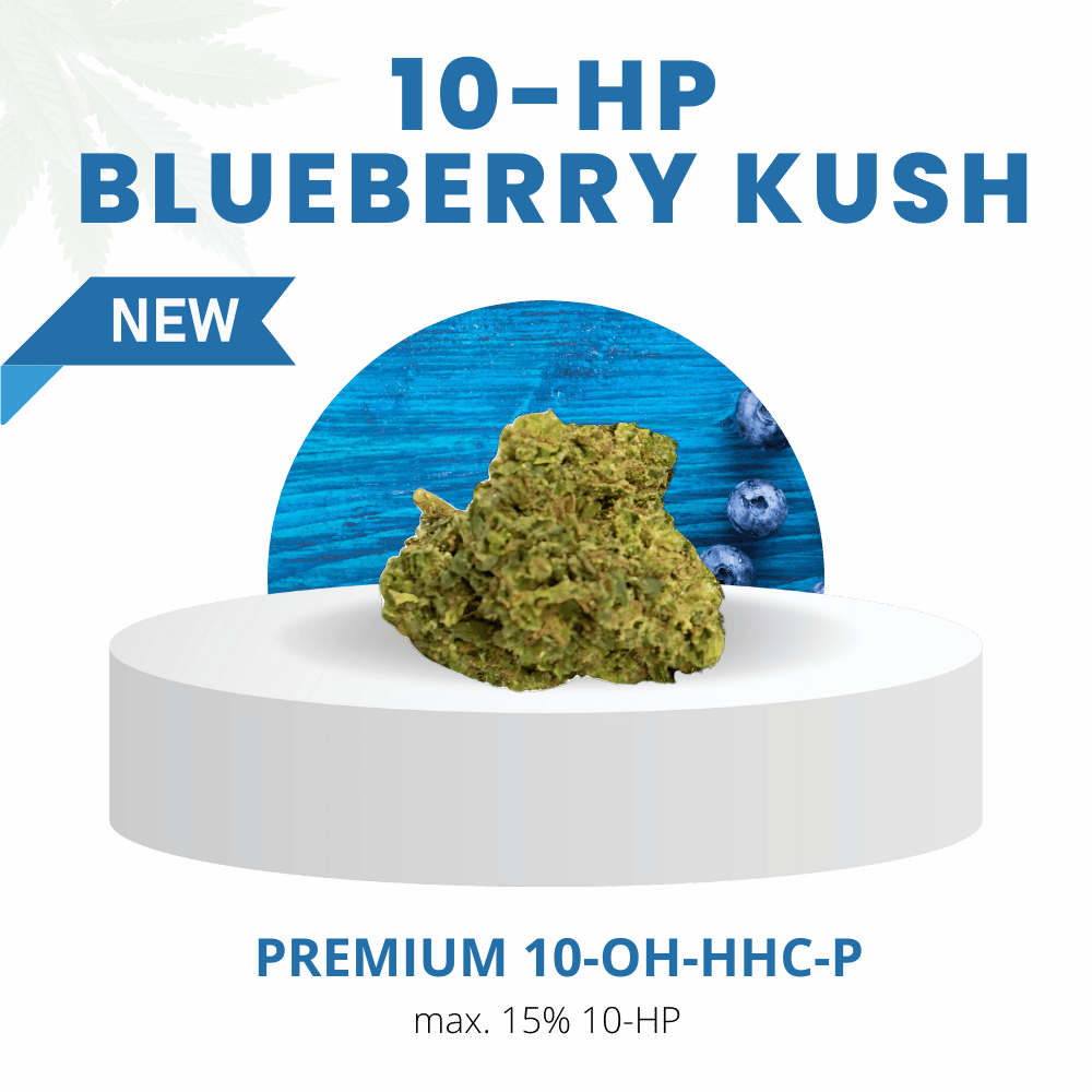 Blueberry Kush 15% Extrem | Premium 10-HP WEED