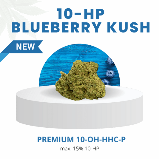 Blueberry Kush 15% Extrem | Premium 10-HP WEED