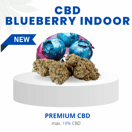 BLUEBERRY INDOOR 18% | Premium CBD Weed